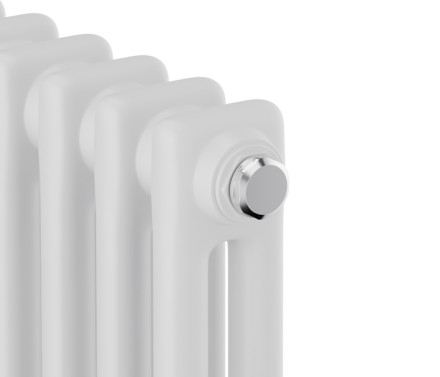 Стальной трубчатый радиатор Royal Thermo Insignia C2180 - 06 секц.